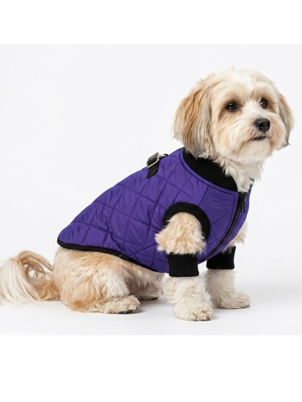 💜🖤 Gooby Dog Puffer Vest Quilted Jacket Large Purple Water Resistant Pet